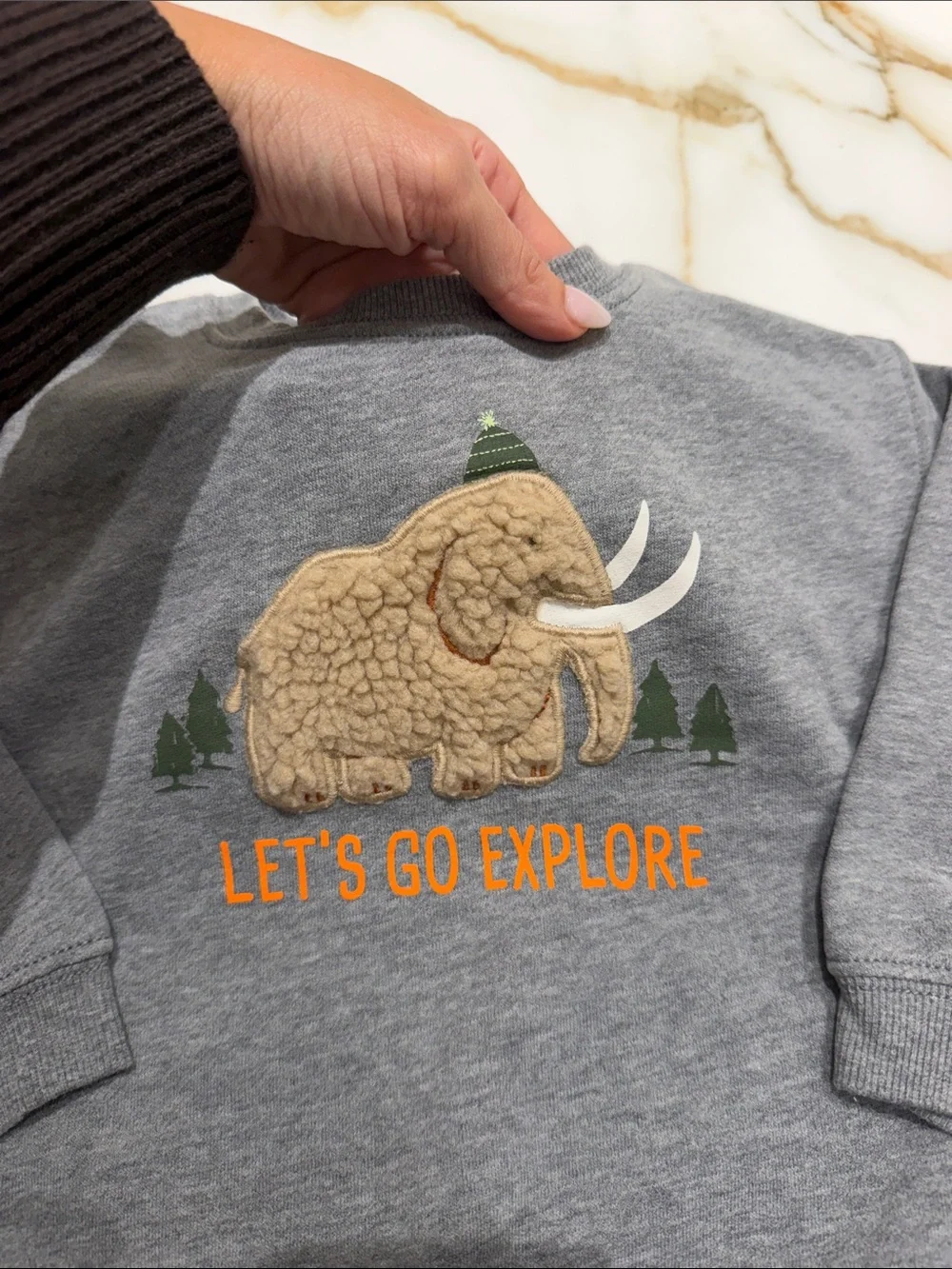 Carter's Gray Mammoth 'Let's Go Explore' Pullover Sweatshirt 2T